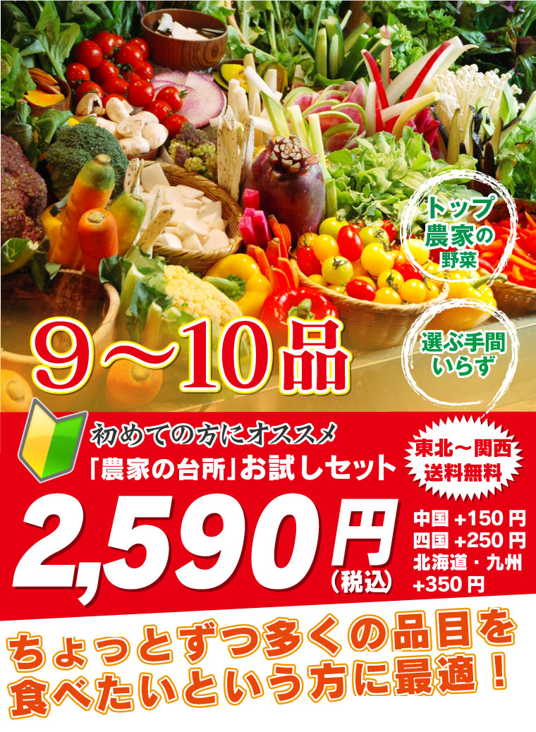 農家の台所お試し野菜セット