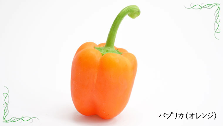 完熟収穫パプリカ 橙色[群馬] / パプリカ | 野菜,実の野菜 | | 農家の台所 WEB SHOP