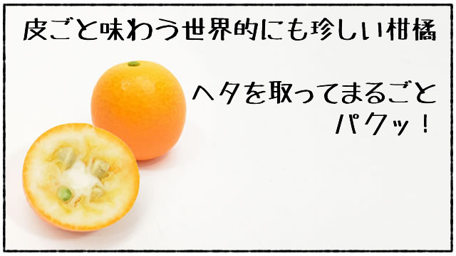 皮ごと食べる柑橘