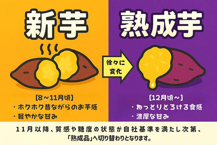 新芋と熟成芋の違い
